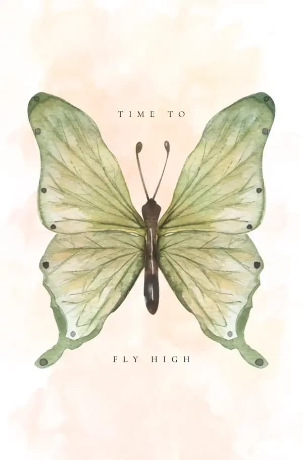 Time to fly high | E-Book
